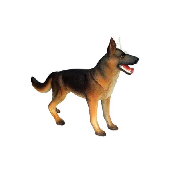 Tedco 4D Dog Anatomy Model - Image 2