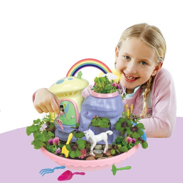 Fairy Garden Plant Kit - Image 3
