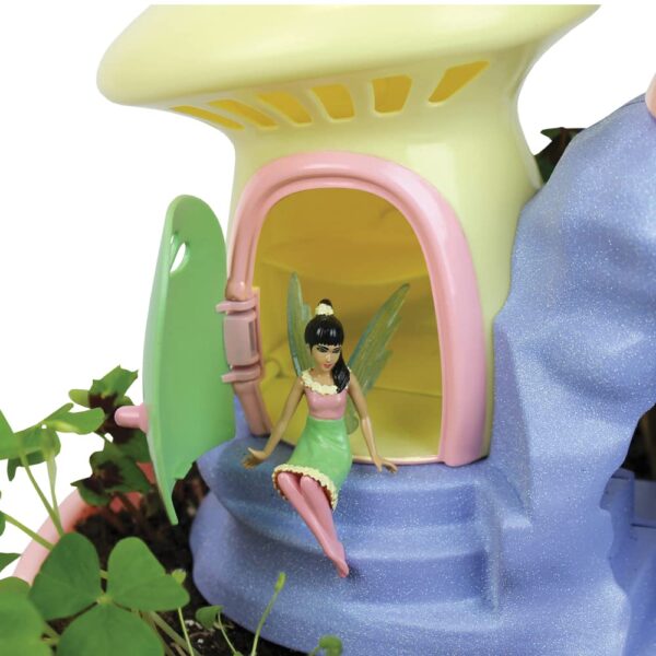 Fairy Garden Plant Kit - Image 4