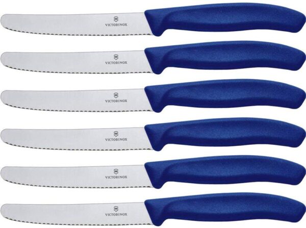 Victorinox Swiss Classic Knife Set