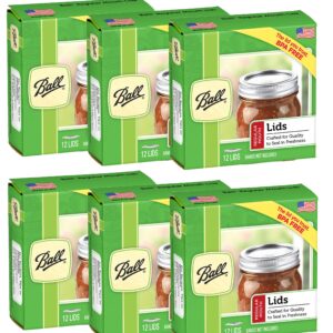 Ball Regular Mouth Jar Lids